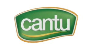 Gemini_Generated_Image_z0q4x0z0q4x0z0q4-removebg-preview